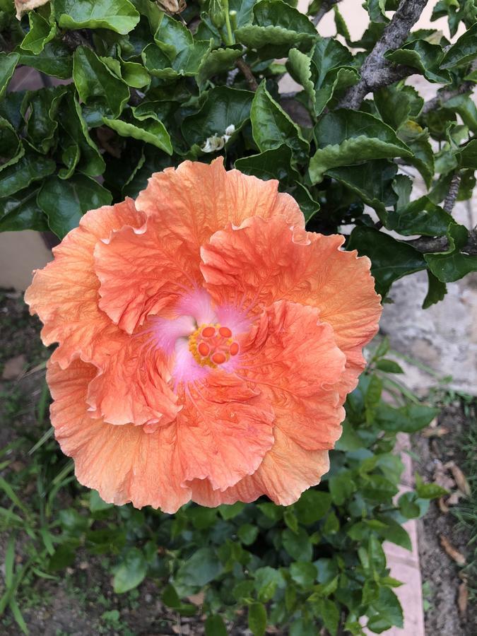 וויטבנק Sunrise Boutique Hotel מראה חיצוני תמונה
